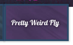 Pretty Weird FLy