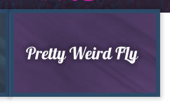 Pretty Weird FLy