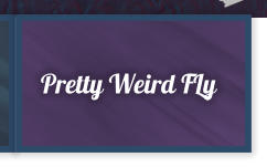 Pretty Weird FLy