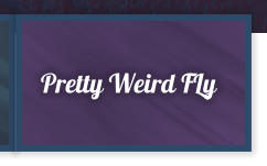 Pretty Weird FLy